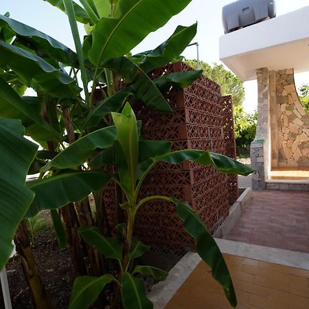 Villetta Mare "Gelsomino Bianco" Фонтане-Бьянке Экстерьер фото